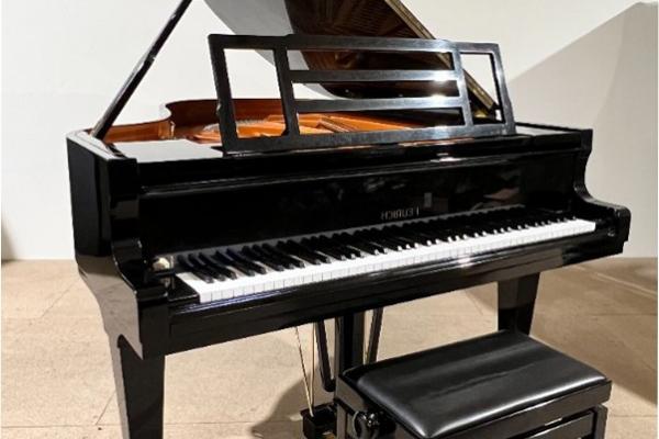 Piano 1/2 queue FEURICH 
